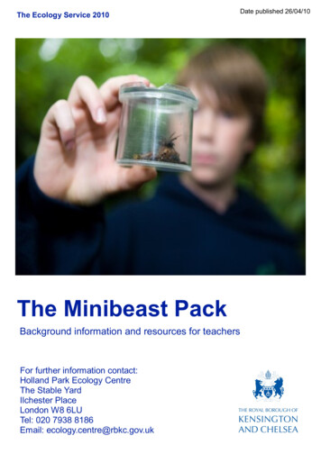 The Minibeast Pack - Royal Borough Of Kensington And Chelsea