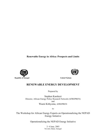 Renewable Energy In Africa: Prospects And Limits