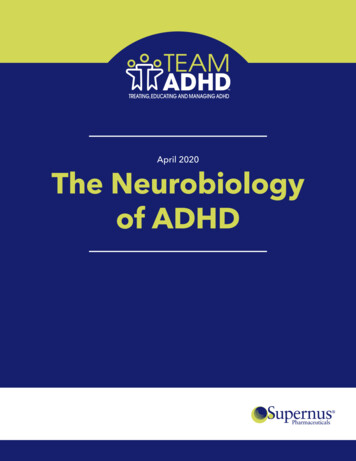 April 2020 The Neurobiology Of ADHD