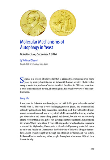Molecular Mechanisms Of Autophagy In Yeast - Nobel Prize