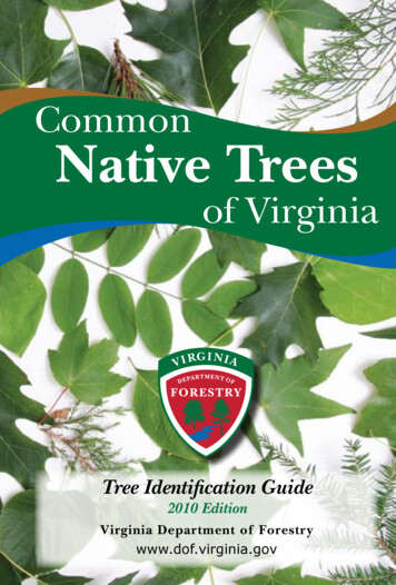 Common Native Trees - Virginia Commonwealth University