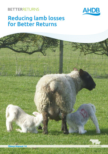 Reducing Lamb Losses For Better Returns - Microsoft