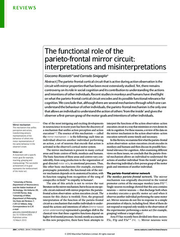 The Functional Role Of The Parieto-frontal Mirror Circuit .
