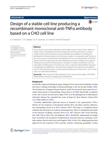 Design Of A Stable Cell Line Producing A Recombinant Monoclonal Anti .