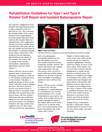 Rehabilitation Guidelines For Type I And Type II Rotator Cuff Repair .