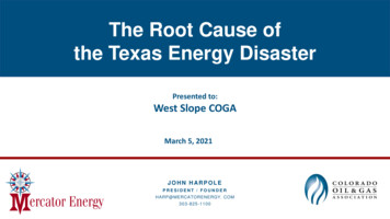 The Root Cause Of The Texas Energy Disaster