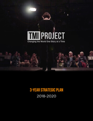 3-YEAR STRATEGIC PLAN - TMI Project