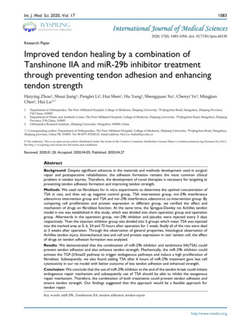 Research Paper Improved Tendon Healing By A Combination Of Tanshinone .