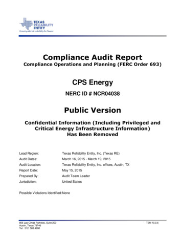 Compliance Audit Report - NERC