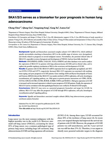 231 Original Article SKA1/2/3 Serves As A Biomarker For Poor Prognosis .
