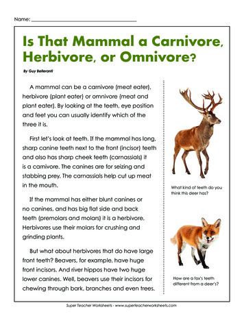 Name: Is That Mammal A Carnivore, Herbivore, Or Omnivore