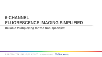 5-CHANNEL FLUORESCENCE IMAGING SIMPLIFIED - Chroma
