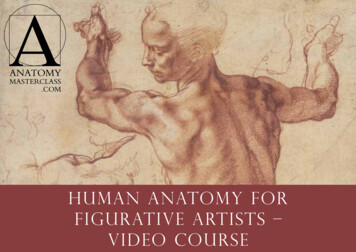 Human Anatomy For Figurative Artists - Video Course