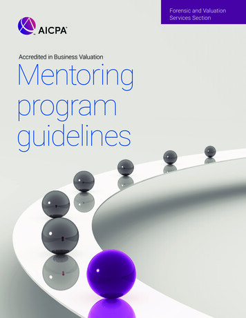 Accredited In Business Valuation Mentoring Program Guidelines