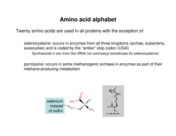 Amino Acid Alphabet - Personal Websites At UB