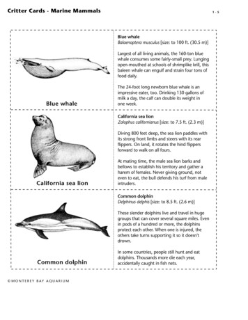 Marine Mammals Critter Cards - Monterey Bay Aquarium