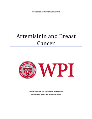 Artemisinin And Breast Cancer - Worcester Polytechnic Institute