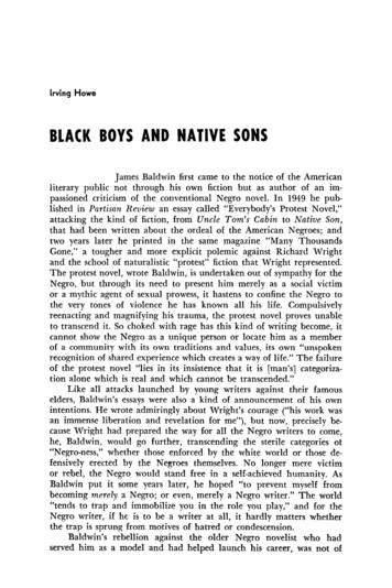 Black Boys And Native Sons - Araadr