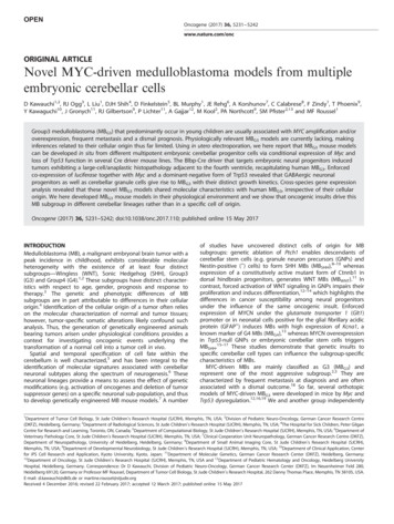 Novel MYC-driven Medulloblastoma Models From Multiple Embryonic .