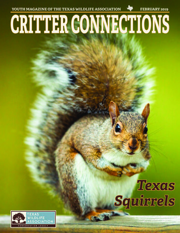 Youth Magazine Of The Texas Wildlife Association February 2019 Critter .