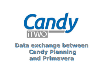 Data Exchange Between Candy Planning And Primavera - RIB CCS