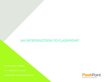 An Introduction To Flashpoint