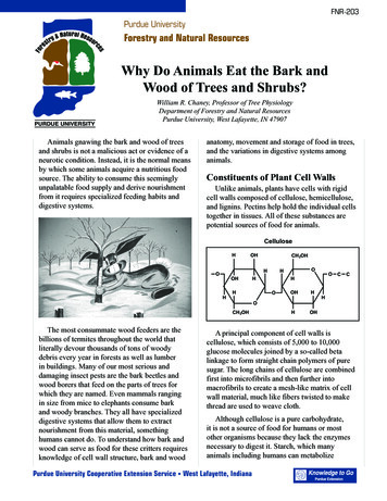 Why Do Animals Eat The Bark And Wood Of Trees And Shrubs?