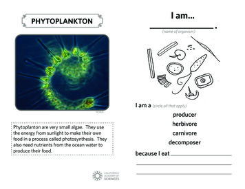 I Am PHYTOPLANKTON - California Academy Of Sciences