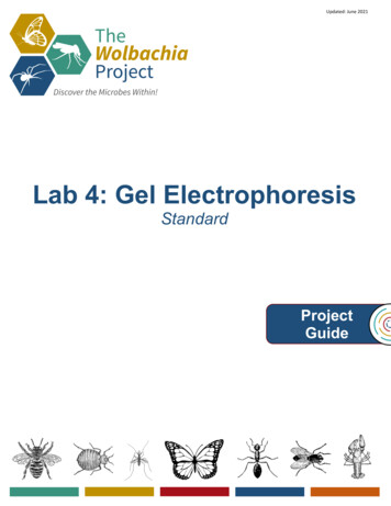 Lab 4: Gel Electrophoresis - Vanderbilt University