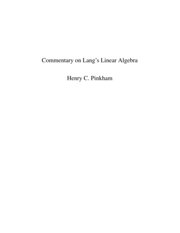 Commentary On Lang's Linear Algebra