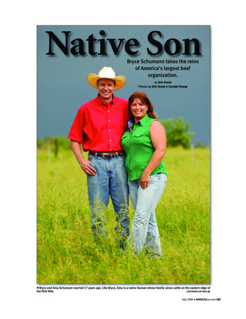 Native Son - Angusjournal 