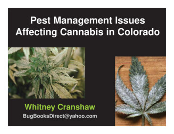 Pest Management Issues Affecting Cannabis In Colorado - Denver