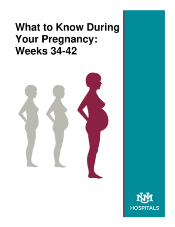 What To Know During Your Pregnancy: Weeks 34-42