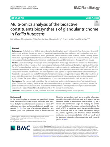 Multi-omics Analysis Of The Bioactive Constituents Biosynthesis Of .