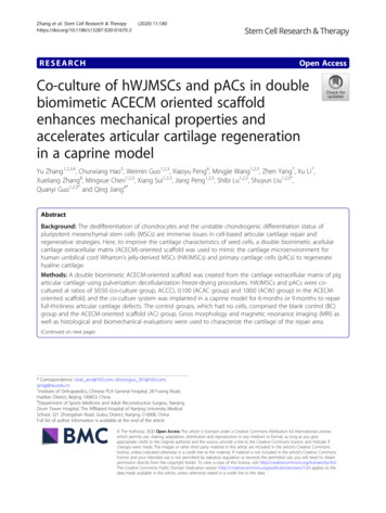 Co-culture Of HWJMSCs And PACs In Double Biomimetic ACECM Oriented .
