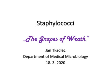 Staphylococci The Grapes Of Wrath - Cuni.cz