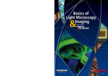 Basics Of Light Microscopy Imaging