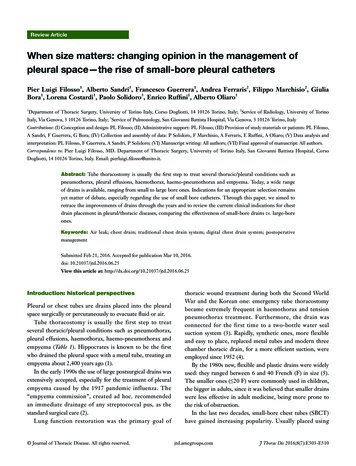 When Size Matters: Changing Opinion In The Management Of Pleural Space .