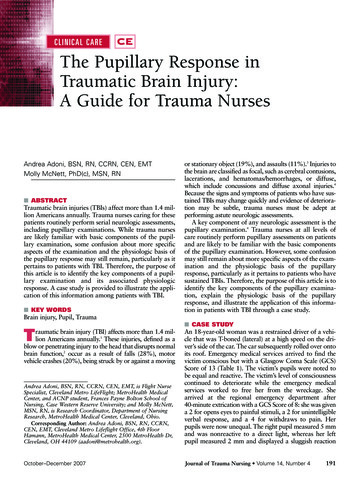 The Pupillary Response In Traumatic Brain Injury: A . - CEConnection