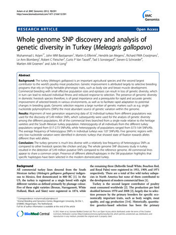 RESEARCH ARTICLE Open Access Whole Genome SNP Discovery And Analysis Of .