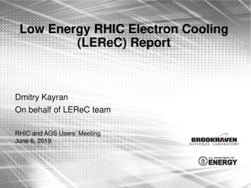 Low Energy RHIC Electron Cooling (LEReC) Report