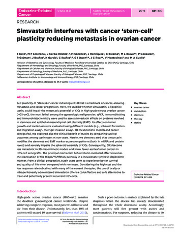 Simvastatin Interferes With Cancer 'stem-cell' Plasticity Reducing .