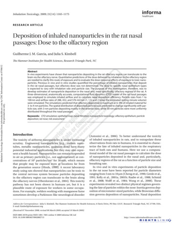 Deposition Of Inhaled Nanoparticles In The Rat Nasal Passages: Dose To .