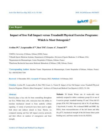 Impact Of Free Fall Impact Versus Treadmill Physical Exercise Programs .