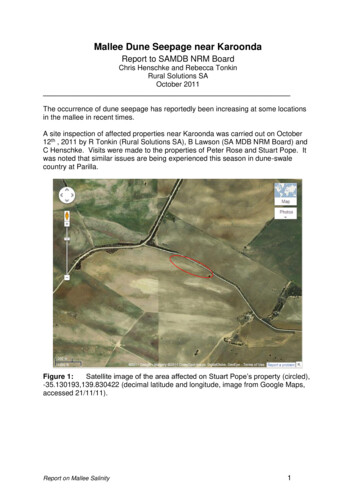 Mallee Dune Seepage Near Karoonda - Home Enviro Data SA