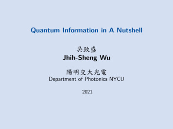 Quantum Information In A Nutshell