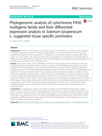 Phylogenomic Analysis Of Cytochrome P450 Multigene Family And Their .