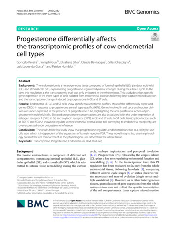 Progesterone Differentially Affects The Transcriptomic Profiles Of Cow .