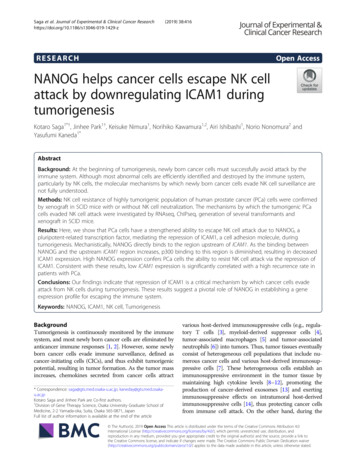 NANOG Helps Cancer Cells Escape NK Cell Attack By Downregulating ICAM1 .