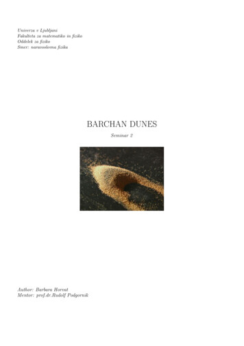 Barchan Dunes - Ijs